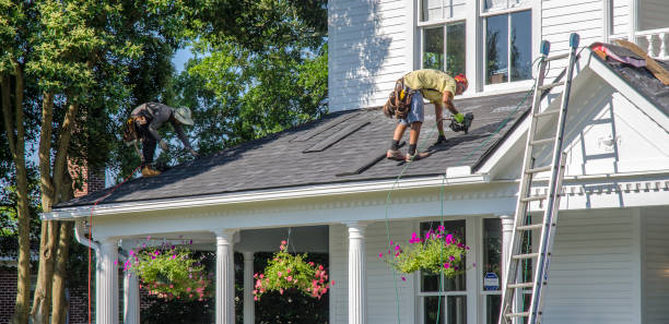 Best Chimney Flashing Repair  in Audubon Park, NJ